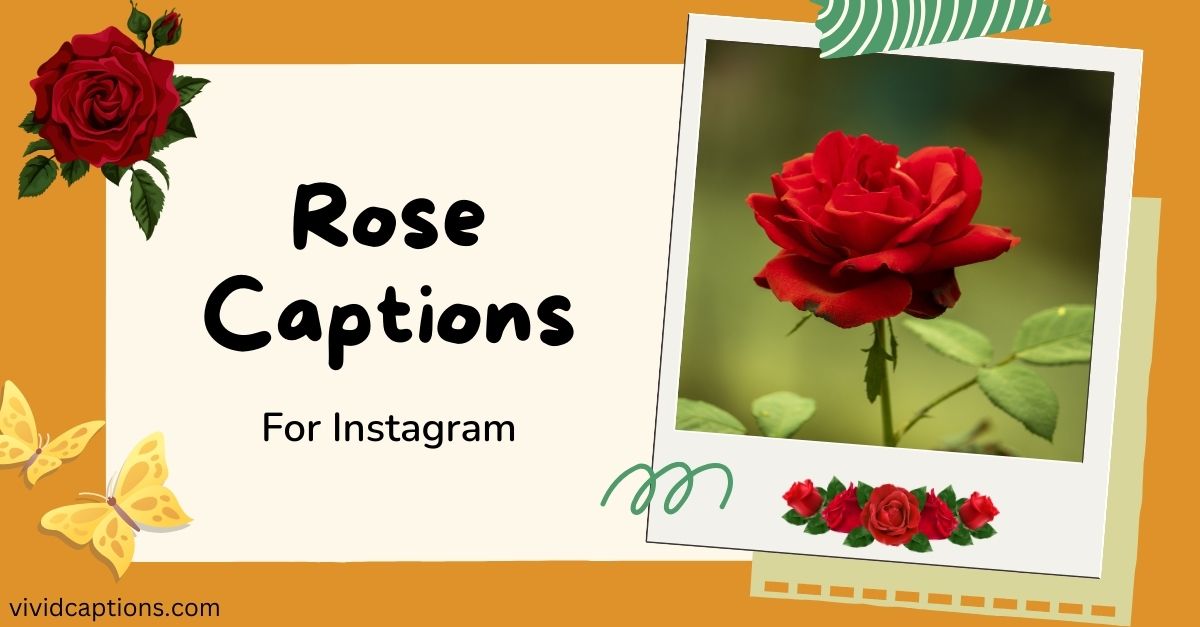 131-rose-captions-for-instagram