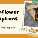 sunflower-captions-for-instagram