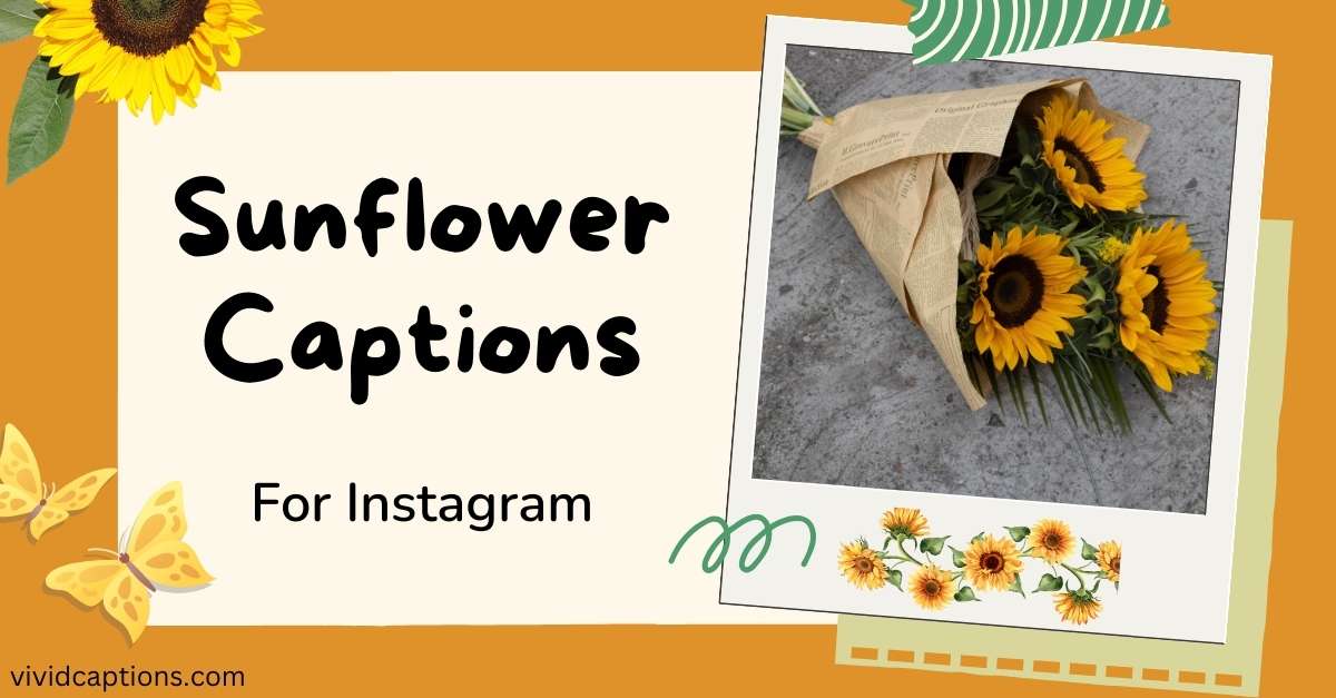 sunflower-captions-for-instagram